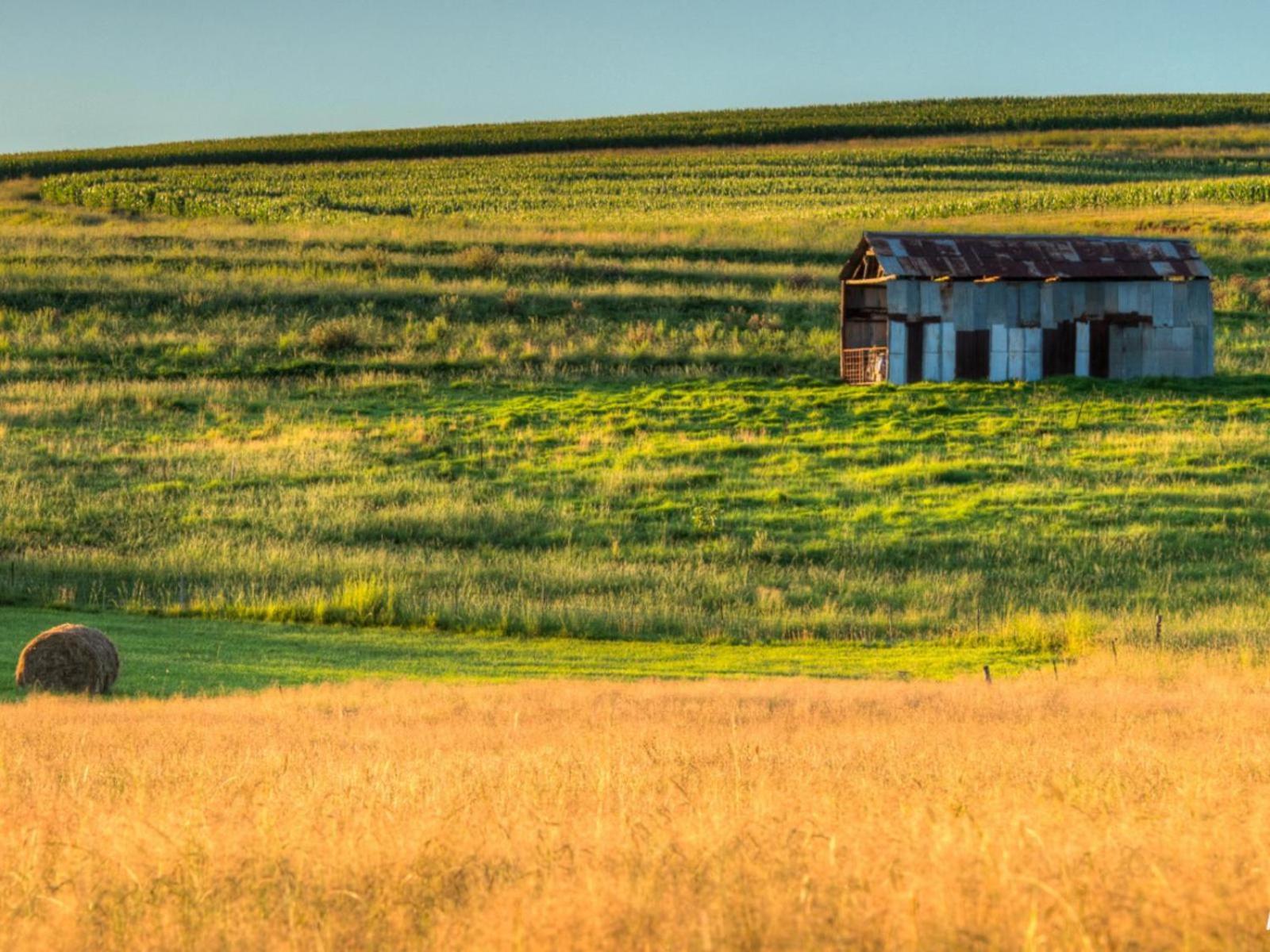 Flitwick Ranch Ξενοδοχείο Swartberg Εξωτερικό φωτογραφία